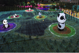 兰州野生动物园熊猫光影之夜盛夏开启306.png