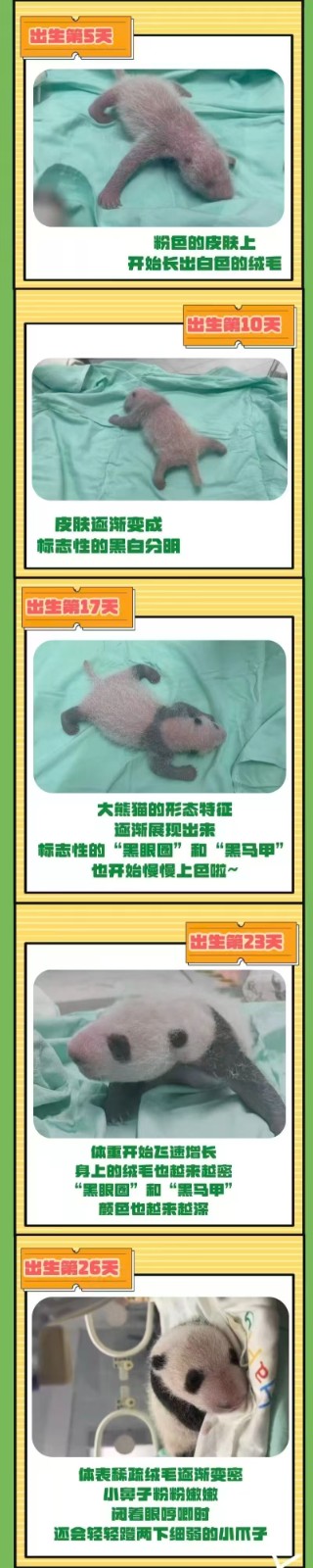 271abdfba8d780d5ad6186ba6e66e767.jpg